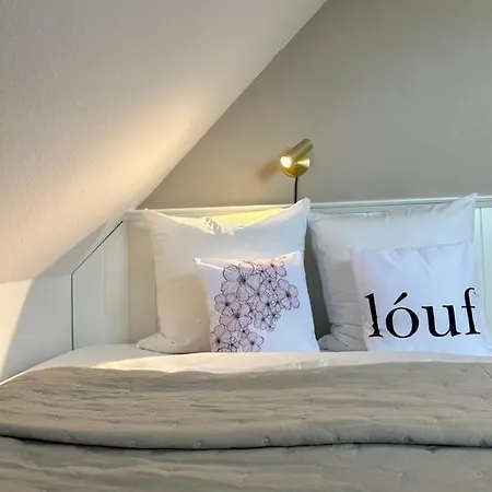 Διαμέρισμα Louf